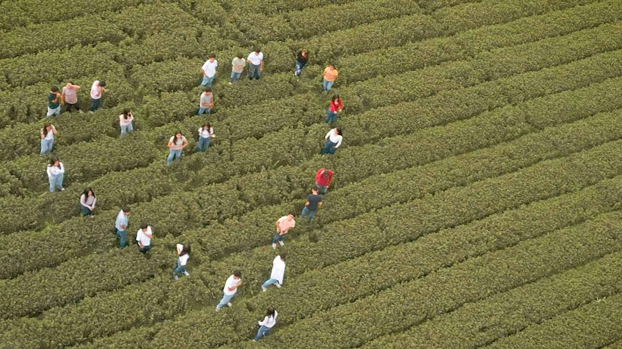 SU VOZ - JUVENTUD DE LA STK UMACOLLO (VIDEO OFICIAL) PROD. KZUL