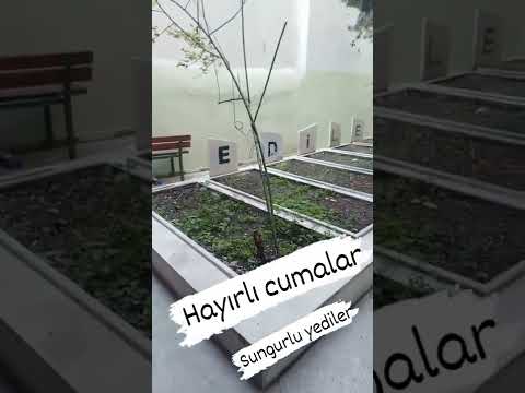 Hayırlı cumalar Çorum