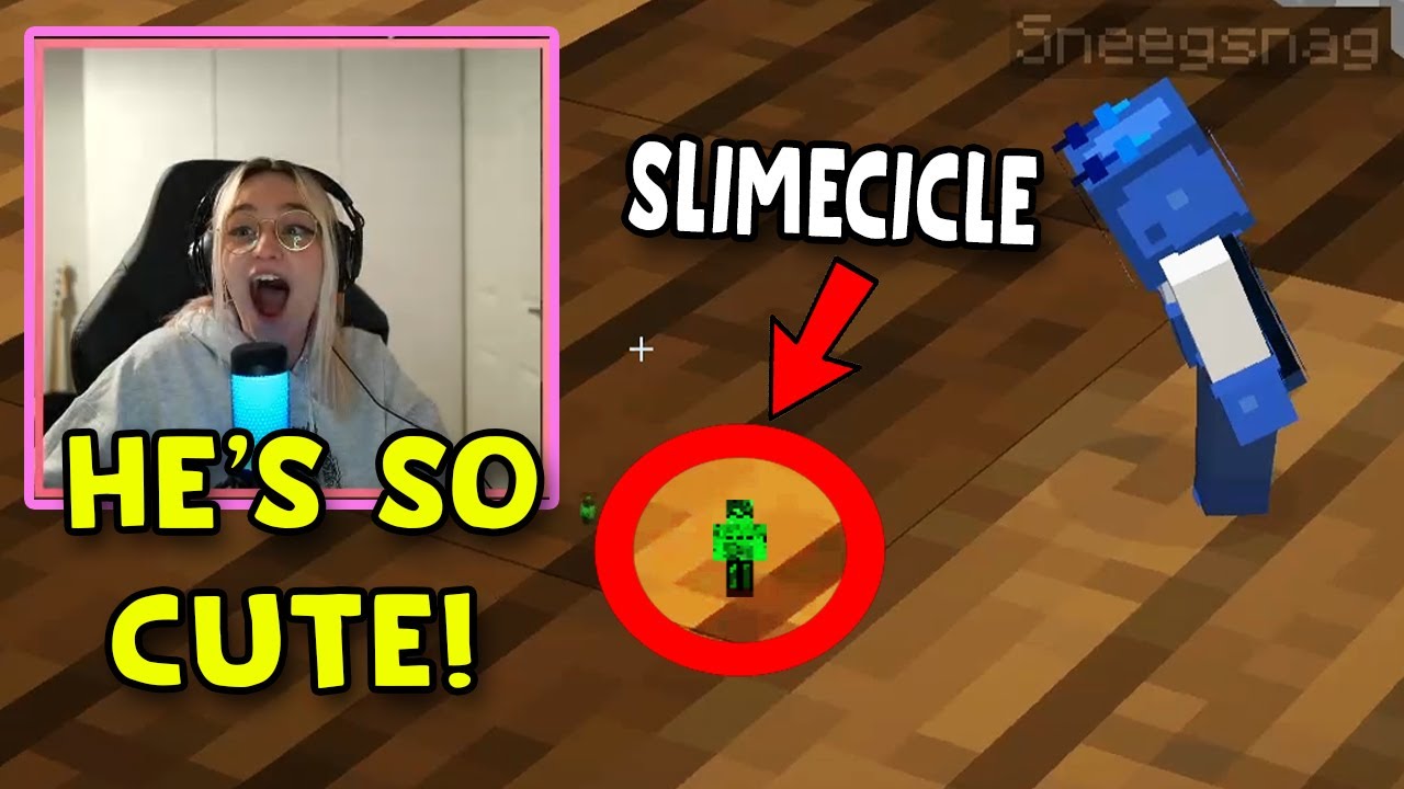 Niki Reacts to Slimecicle being Smaller than Sneegsnag!