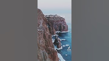 سوره الحشر _الشيخ علي جابر