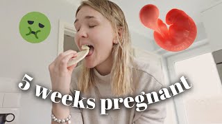 5 WEEKS PREGNANT WITH BABY #2: Early Pregnancy Vlog