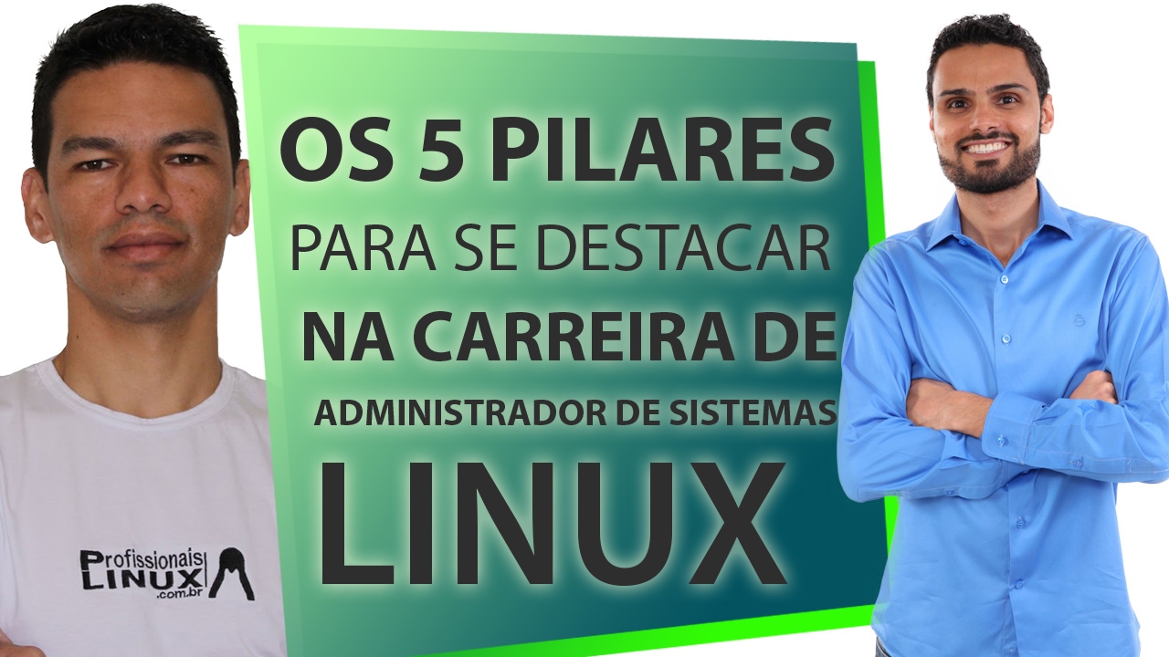 pedro delfino wikipedia [Série Linux] Os 5 Pilares para se destacar como Administrador de Sistemas Linux | Parte 10/11