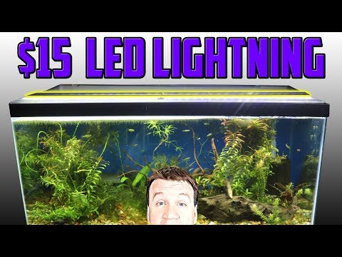 $15 LED Aquarium Lighting - 2 Years in the Fish Room