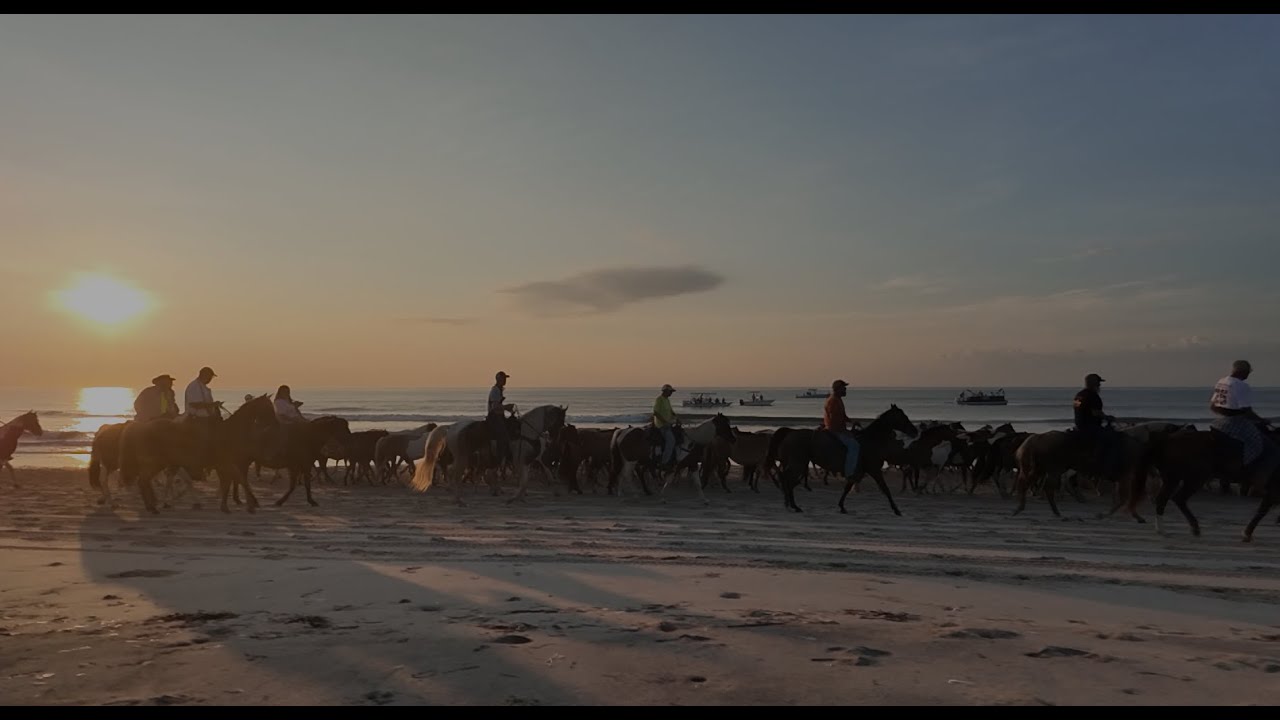 WBOC - Unbridled Tradition: The 100th Chincoteague Pony Penning