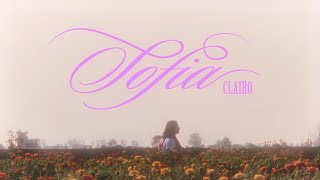 Sofia- Clairo | Music Video Film | NID Haryana