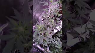 Today's update