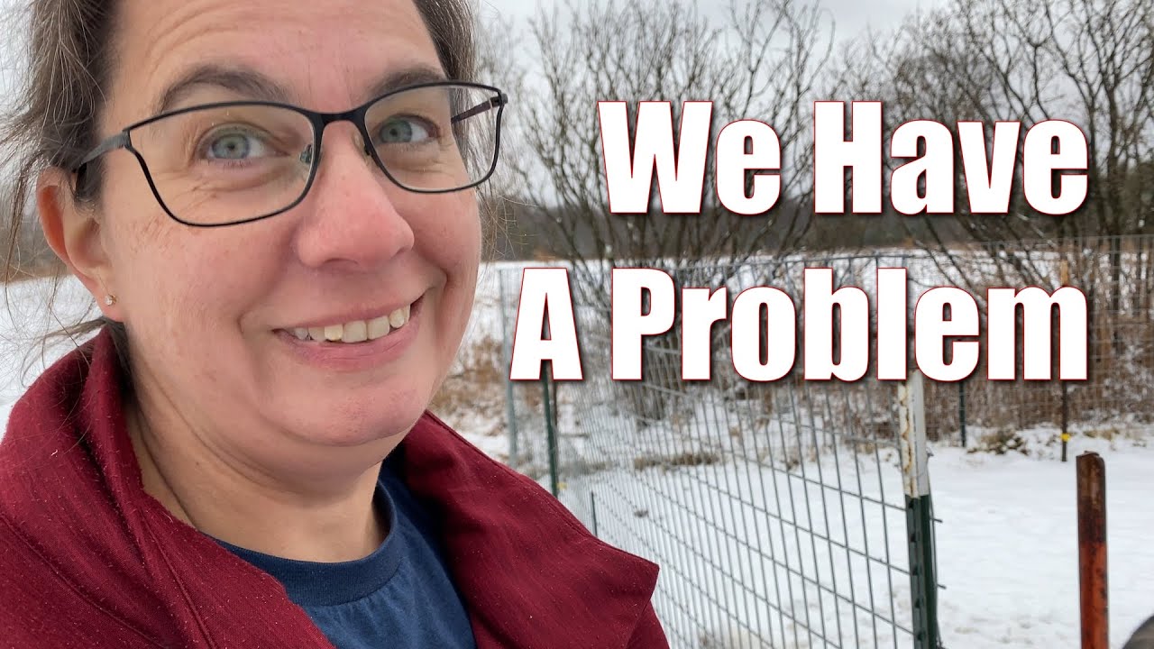 We Have A Problem | A Big Family Homestead VLOG - YouTube