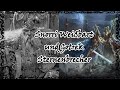 Snorri Weißbart und Gotrek Sternenbrecher