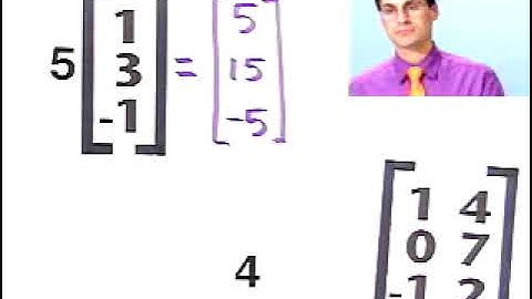2_Multiplying a matrix by a scalar  11.flv