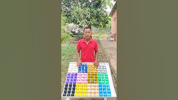 Game Challenge Sort Color Ball Puzzle #game #challenge #sortvideo #puzzle .