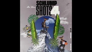 MSXII Sound Design - Schlump Shots Vol. 4