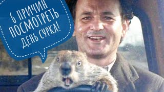 6 причин посмотреть фильм День сурка!