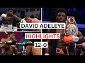 David Adeleye (12-0) Highlights & Knockouts