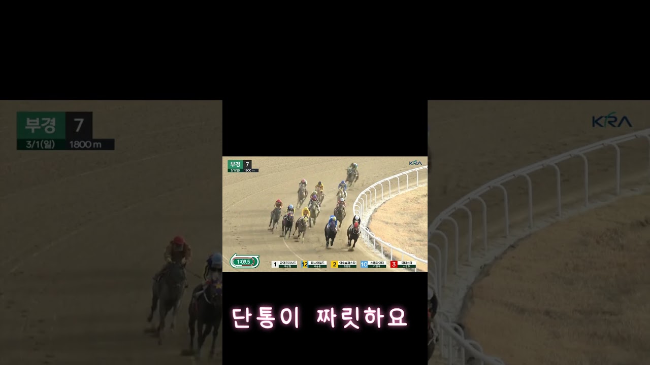 단통이 좋와