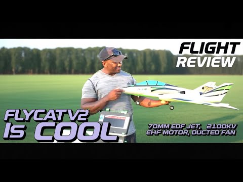 Is the Flycat