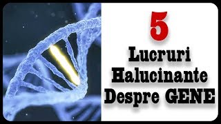 5 Lucruri Halucinante Despre GENE