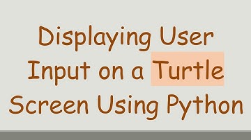Displaying User Input on a Turtle Screen Using Python