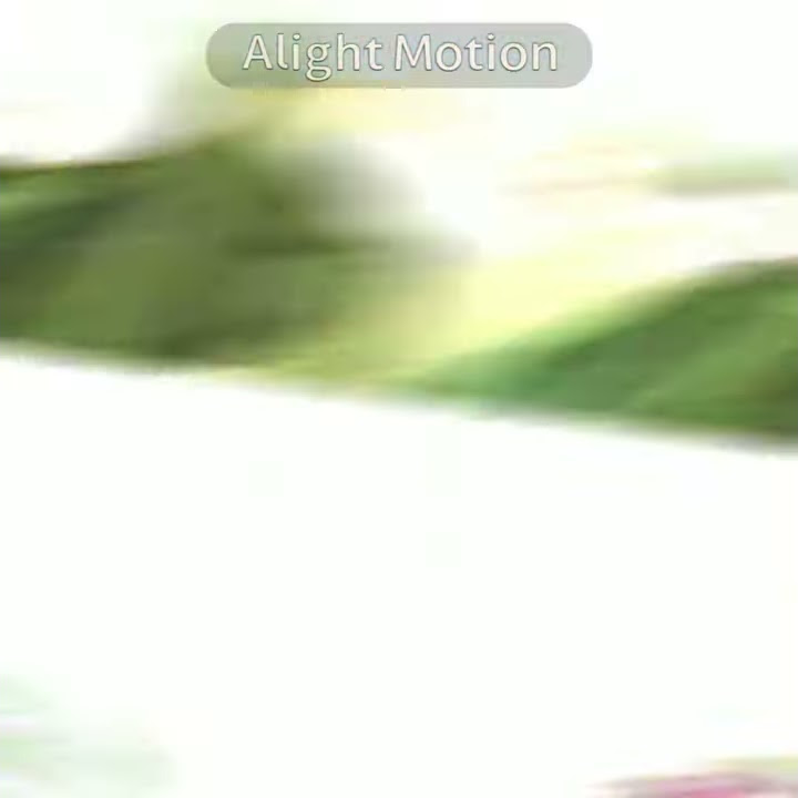 preset alight motion|| dj senggol dong//30 detik