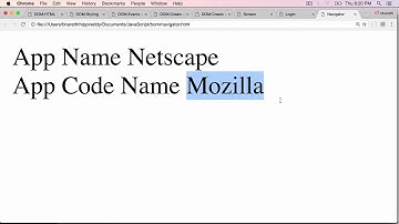 JavaScript Navigator Object
