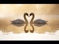 【作業用BGM】心がぎゅーっとなる洋楽ラブソング集2【超高音質】