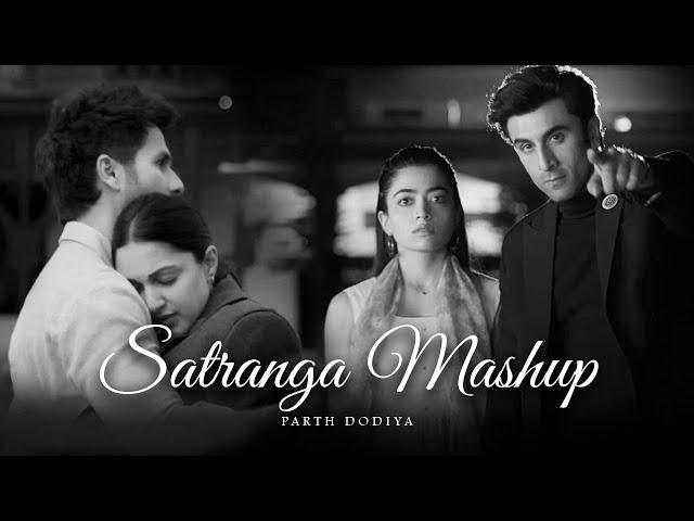 Satranga Mashup - Parth Dodiya | Kabir Singh | Animal | 2024 class=