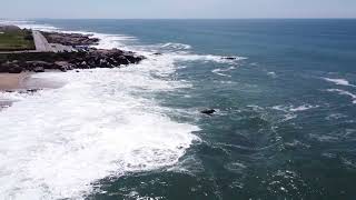 Oceanic Oasis: Tranquil Music for Effective Learning