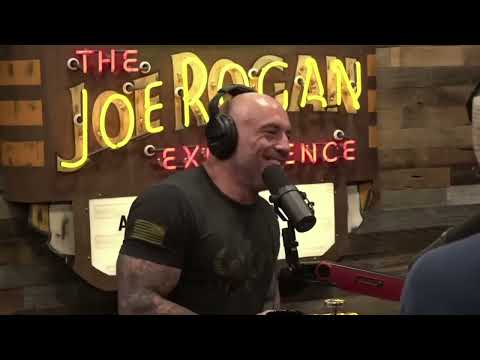 Protect Our Parks | History Talk x Hitler's Genital Abnormalities | The Joe Rogan Experience