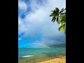 Prismatic Paradise 🌴🌊🌈✨ #hawaii    #regenbogen #beach #waves #hawaii #paradise #rainbow