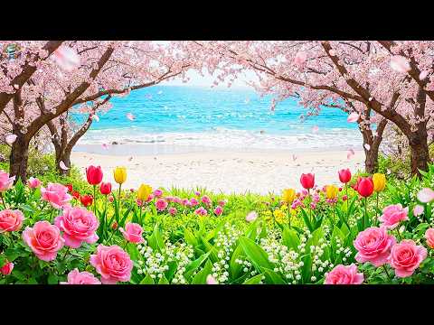(No Ads) Emotional Peace 🌸 Gentle Piano Music for Stress Relief, Relaxation & Inner Healing