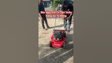 Máy cắt cỏ nhung nhật, máy cắt cỏ sân vườn, máy cắt cỏ sân bóng, máy cắt cỏ xăng số tự hành đẩy tay