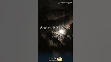 #سورة القدر#بصوت سعود شريم #جودة عالية