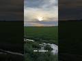 Sunset #sunset #sunsetview #sunsets #greenary #nature #natureshorts #sunsetphotography #sunsetchill