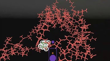 Tying a knotted protein with interactive molecular dynamics in VR