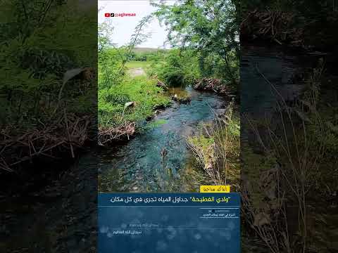 وادي الفطيحة بيش جازان السعودية اكسبلور