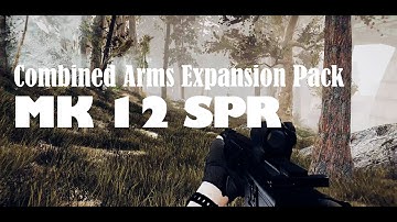 FALLOUT MOD I MK 12 SPR I Combined Arms Expansion Pack