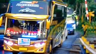 Rombongan Bus Cakep Oleng