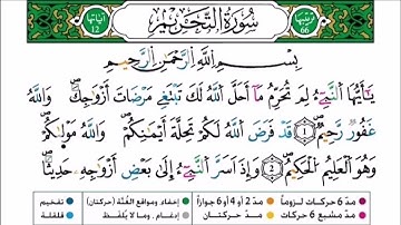 سورة التحريم برواية ورش عن نافع للقارئ أحمد بن قاسم باعلي و سعيد