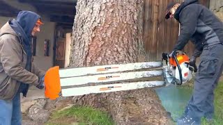 Incredible Fastest Chainsaw Machines Cutting Tree Skills, Dangerous Tree Felling Down Skill Working
