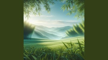 Left in Your Silence