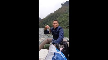 Câu cá Rô mó ở đập thủy điện, Câu cá Mường Lò, bơi thuyền câu cá