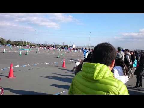 20151128 SUZUKA S-1 GP 障害物 5歳予選 SR&TK