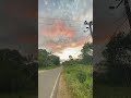 එ අහාස 😨❤️🩹 #traveldiaries #polonnaruwa #travel #travelvideos #viral #lake #travelvlogs