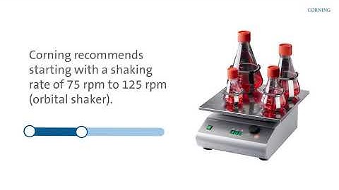 Corning® Erlenmeyer Flasks