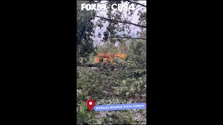 Storm damage and cleanup in Morgan Monroe State Park