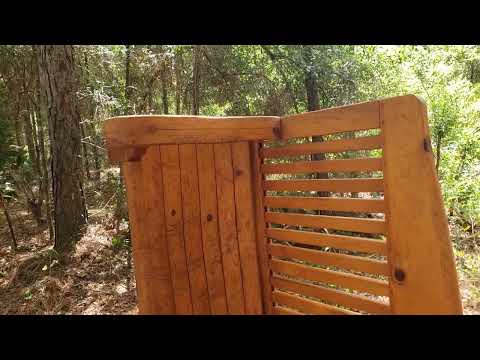 Do Dry Wood Termites Appear In The Garden