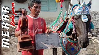 Berkunjung ke istalnya kuda renggong - mekar -  sang juara