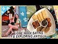 What To Eat & Do in Antigua | Caribbean Travel Vlog