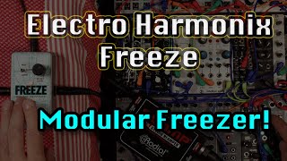 ❄️ Electro Harmonix Freeze goes Modular ❄️ 🎧 (no talking