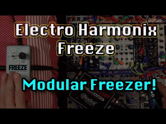 Electro-Harmonix Freeze switch mod エレハモ Electro-Harmonix Freeze switch mod エレハモ