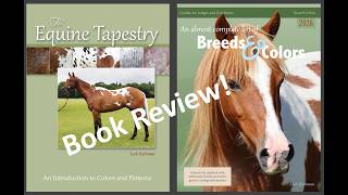Horse Book Review Colors & Patterns - By Lesli Kathman